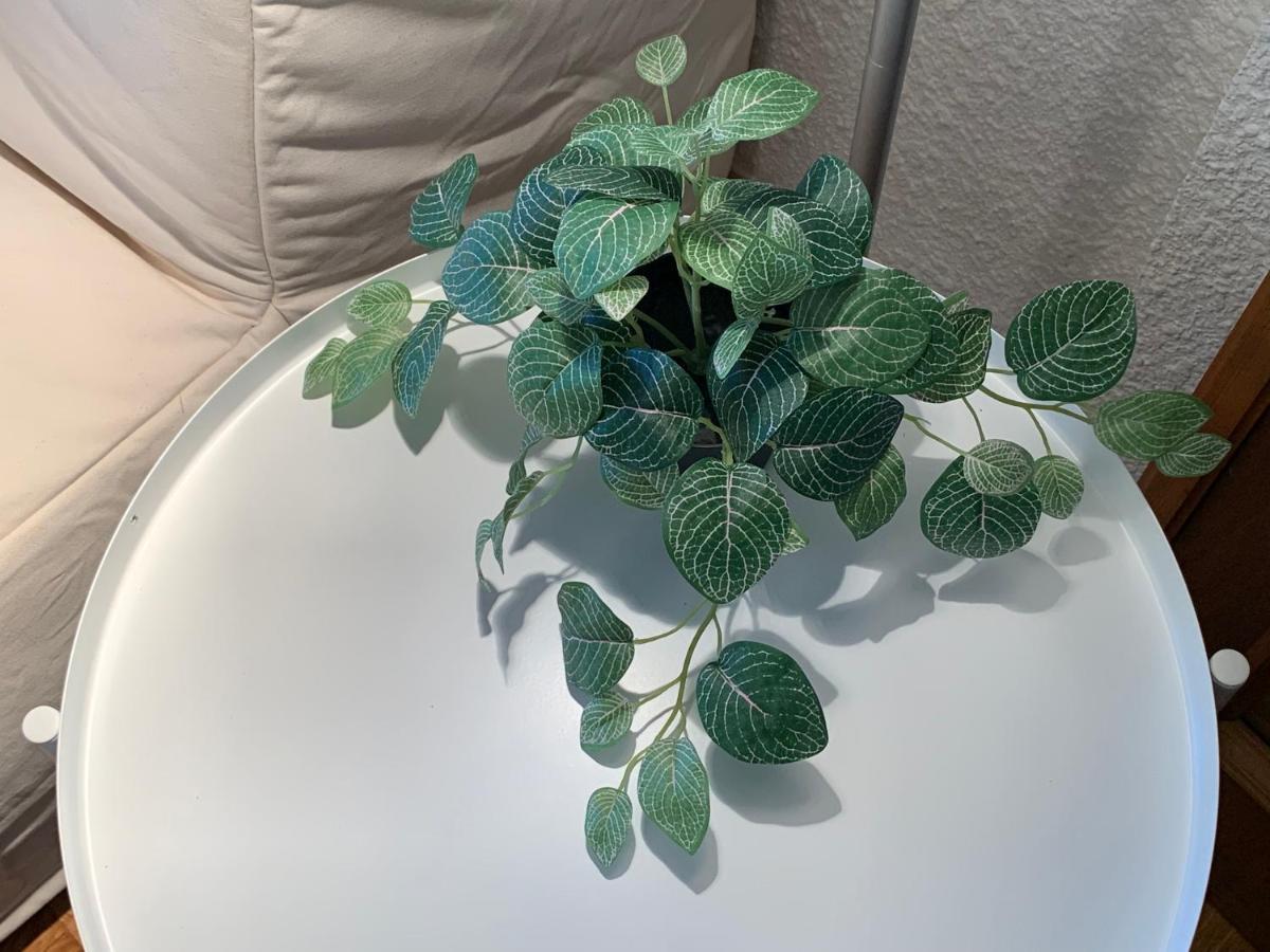 Precioso Piso Recién Reformado En Apartamento *